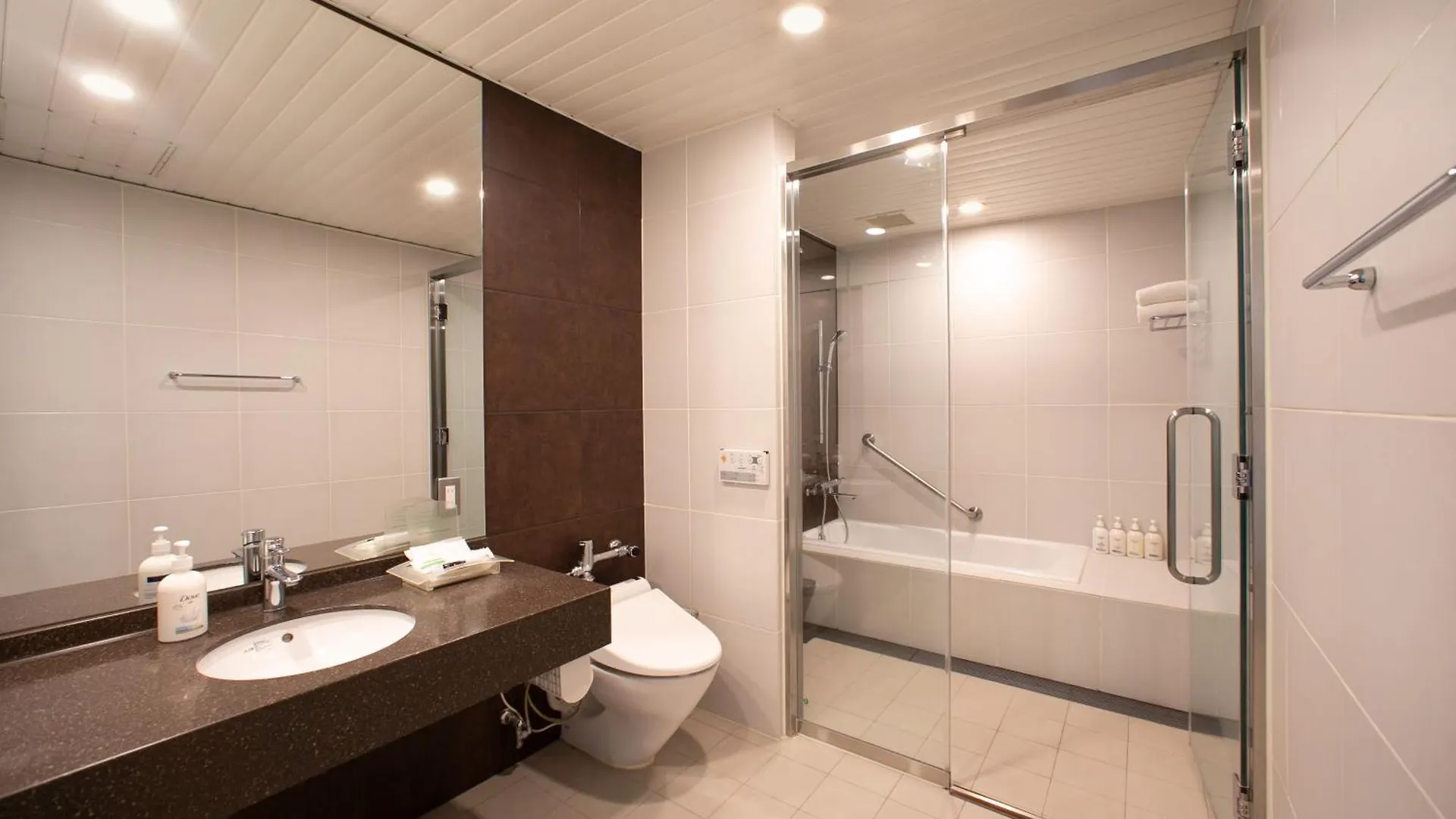 Hotel Holiday Inn Osaka Namba By Ihg