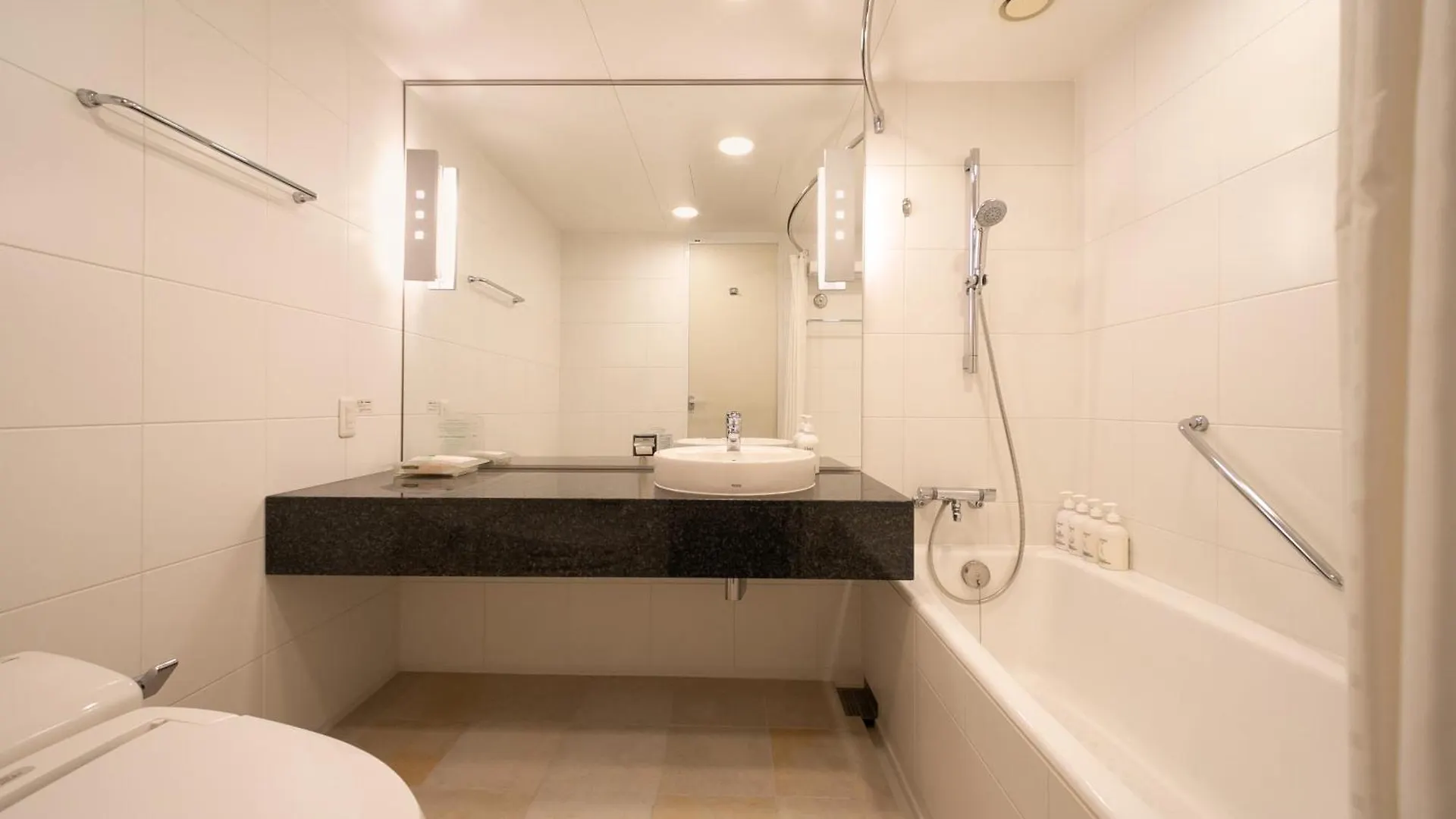 Holiday Inn Osaka Namba By Ihg